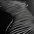 SINUOUS | Abstract Female Body Silhouette | Luxury Multi-Print Wall Art | 1-Of-1