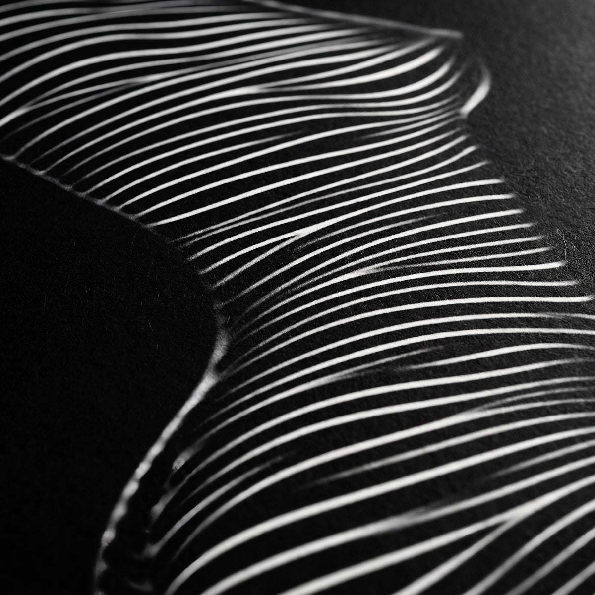 SINUOUS | Abstract Female Body Silhouette | Luxury Multi-Print Wall Art | 1-Of-1
