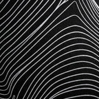 TEMPO | Dynamic Poised Female Silhouette Op Art | Luxury Multi-Print Wall Art | 1-Of-1