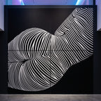 VENUS | Voluptuous Minimalist Female Body Op Art | Luxury Multi-Print Wall Art | 1-Of-1