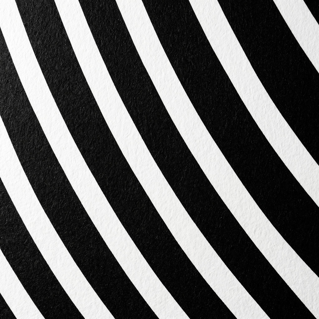 VENUS | Voluptuous Minimalist Female Body Op Art | Luxury Multi-Print Wall Art | 1-Of-1