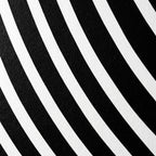 VENUS | Voluptuous Minimalist Female Body Op Art | Luxury Multi-Print Wall Art | 1-Of-1