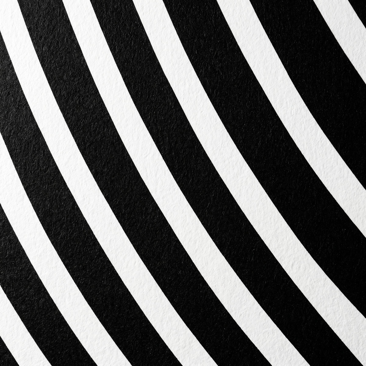 VENUS | Voluptuous Minimalist Female Body Op Art | Luxury Multi-Print Wall Art | 1-Of-1