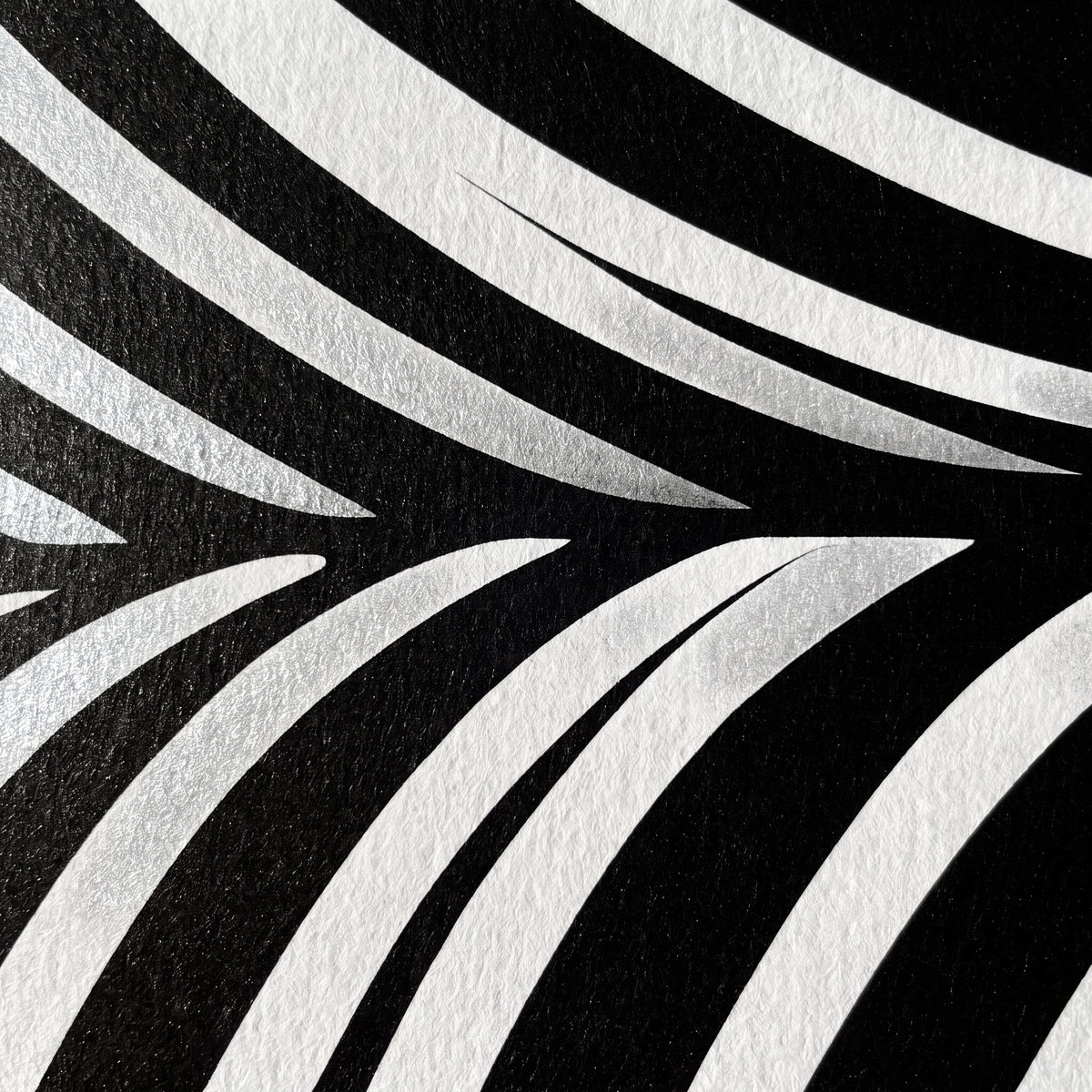 VENUS | Voluptuous Minimalist Female Body Op Art | Luxury Multi-Print Wall Art | 1-Of-1