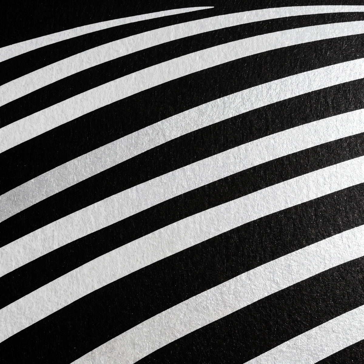 VENUS | Voluptuous Minimalist Female Body Op Art | Luxury Multi-Print Wall Art | 1-Of-1