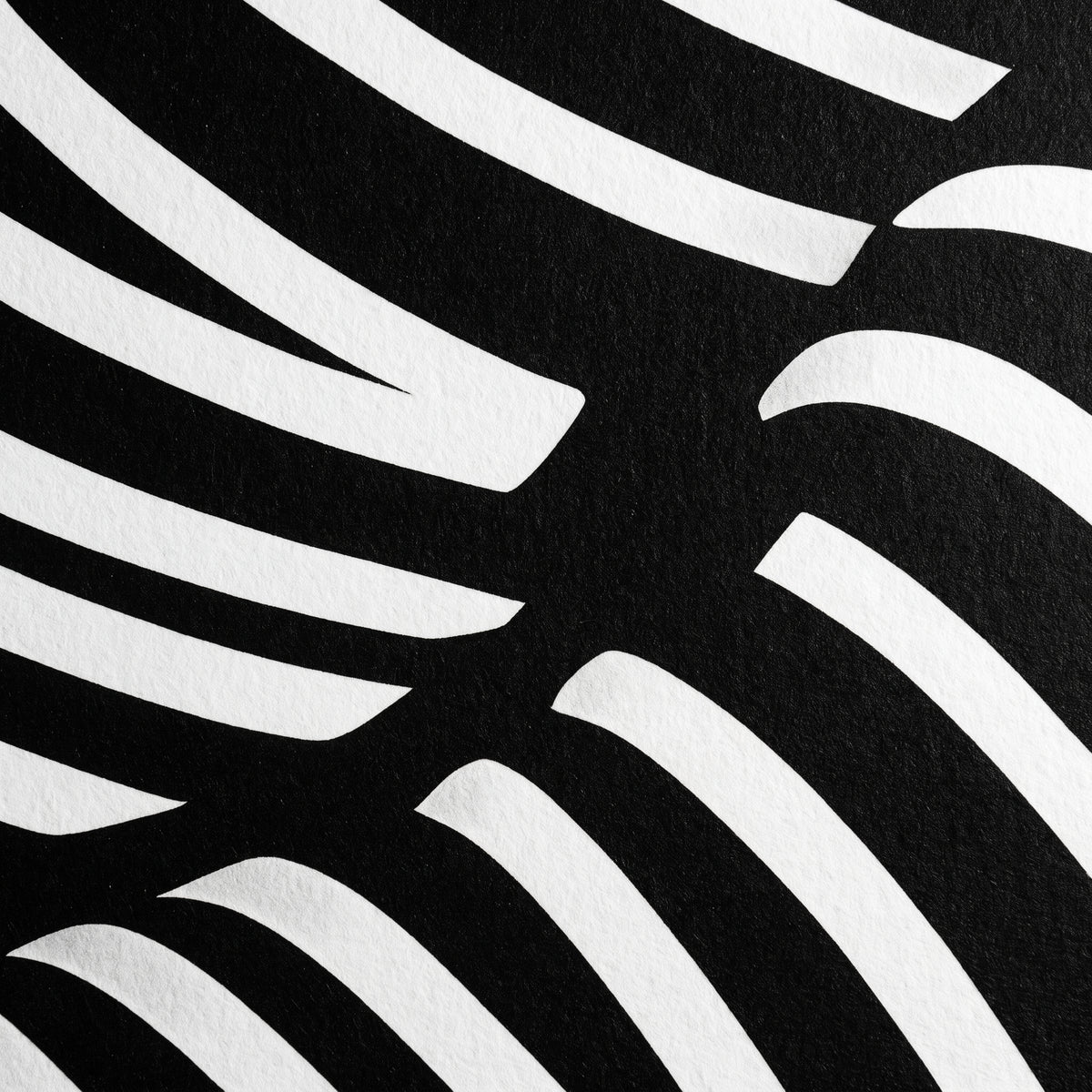 VENUS | Voluptuous Minimalist Female Body Op Art | Luxury Multi-Print Wall Art | 1-Of-1