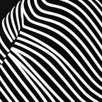VENUS | Voluptuous Minimalist Female Body Op Art | Luxury Multi-Print Wall Art | 1-Of-1