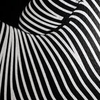 VENUS | Voluptuous Minimalist Female Body Op Art | Luxury Multi-Print Wall Art | 1-Of-1