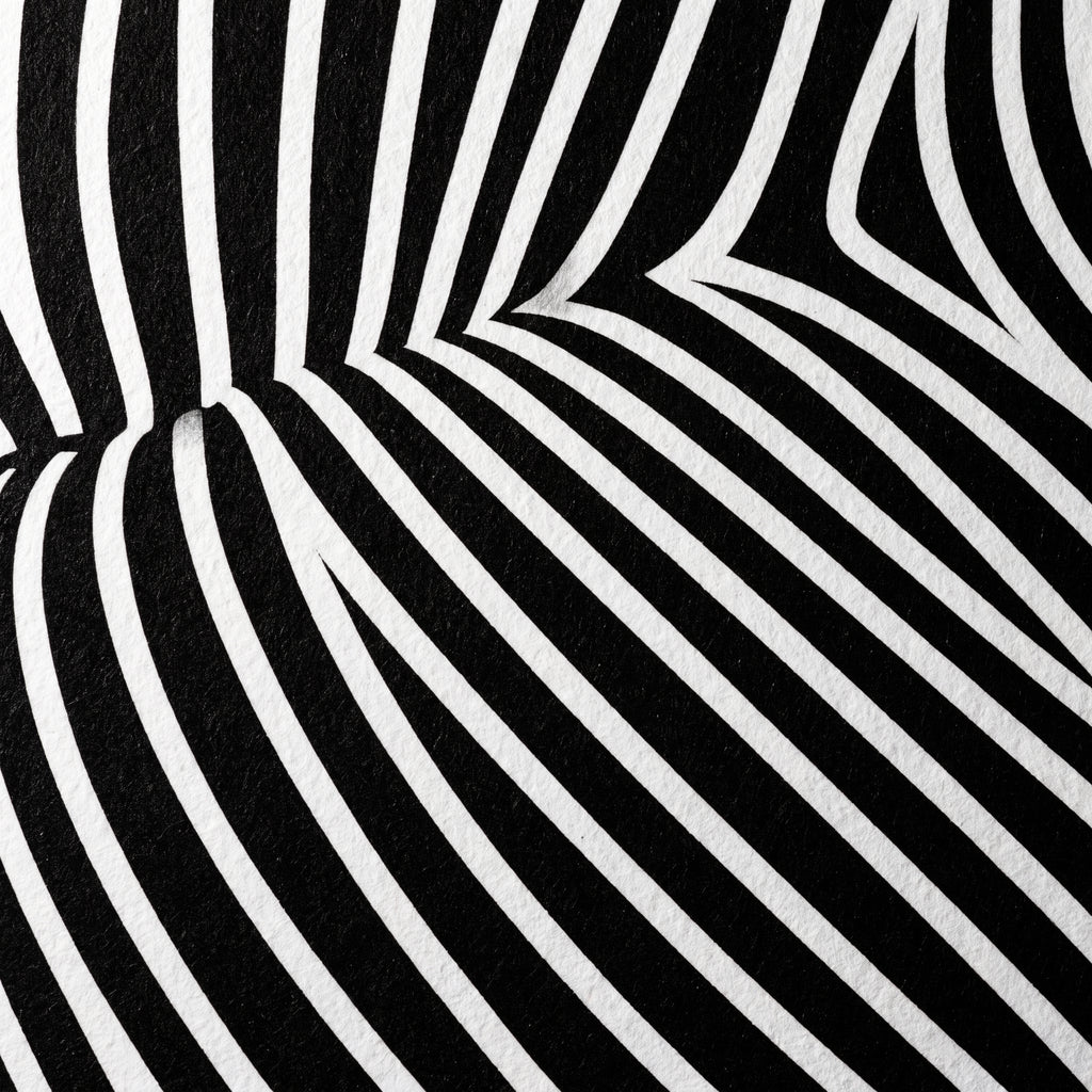 VENUS | Voluptuous Minimalist Female Body Op Art | Luxury Multi-Print Wall Art | 1-Of-1