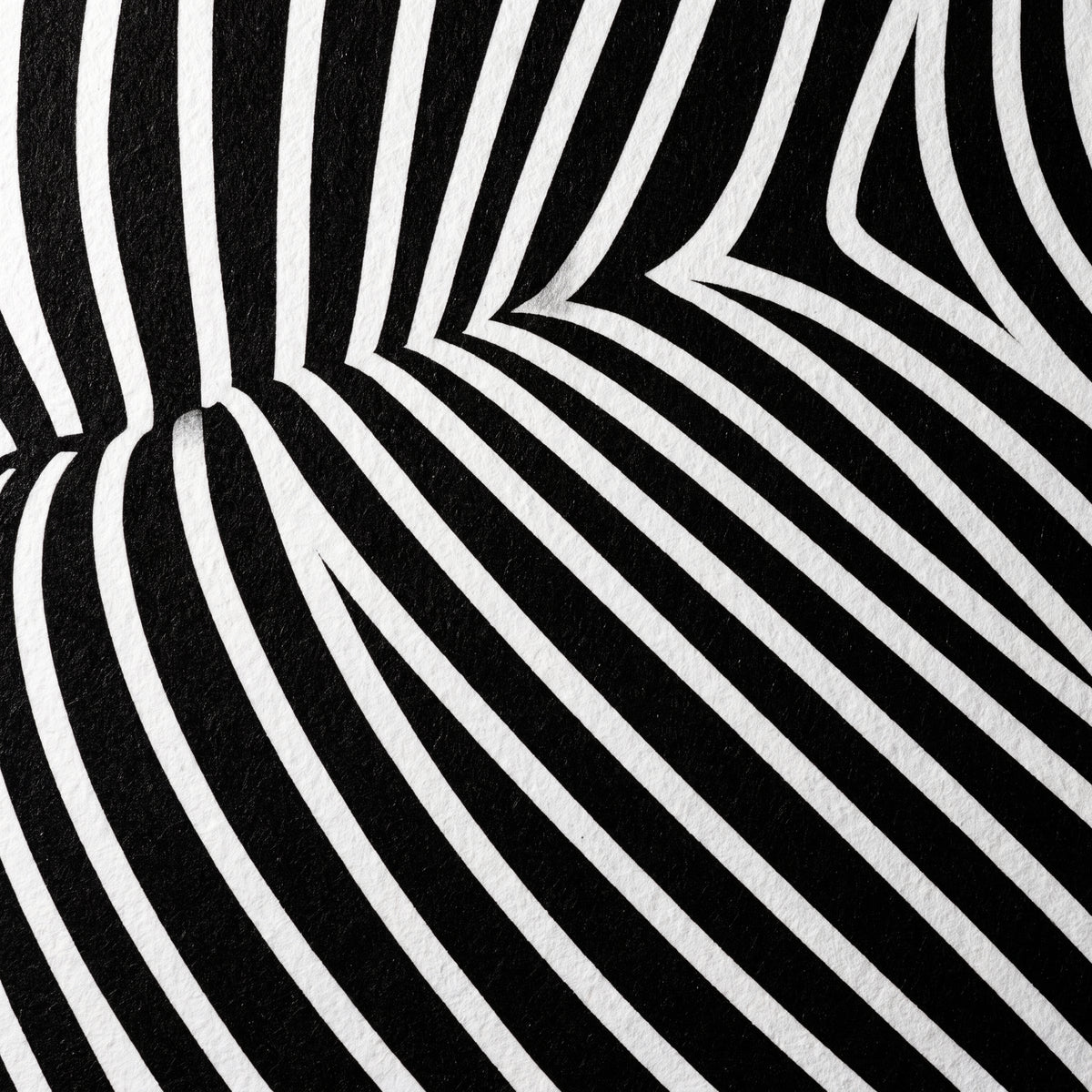 VENUS | Voluptuous Minimalist Female Body Op Art | Luxury Multi-Print Wall Art | 1-Of-1