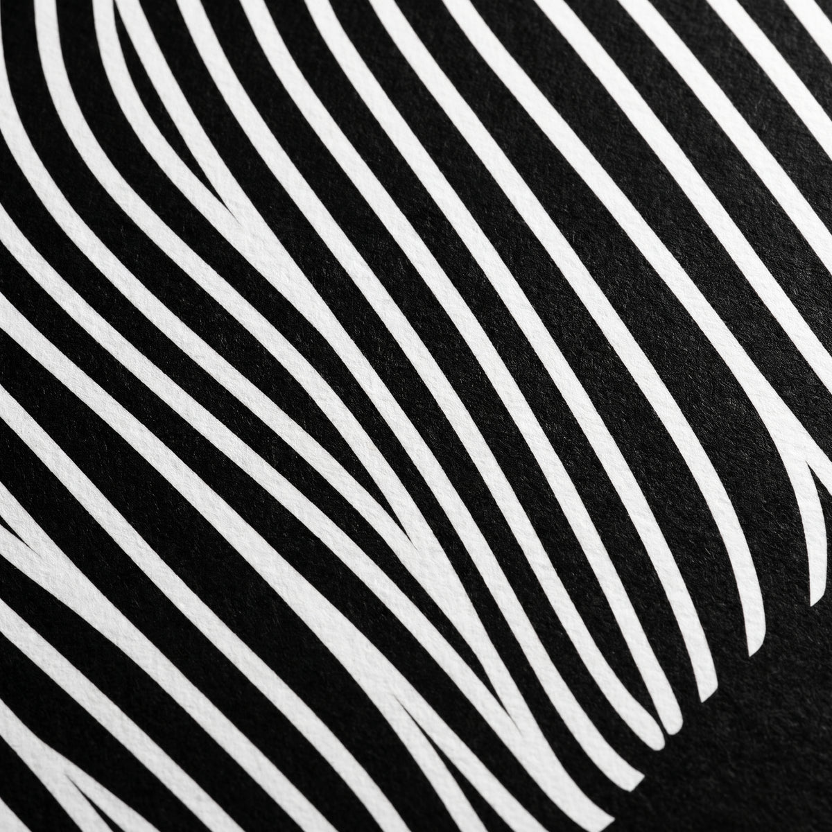 VENUS | Voluptuous Minimalist Female Body Op Art | Luxury Multi-Print Wall Art | 1-Of-1