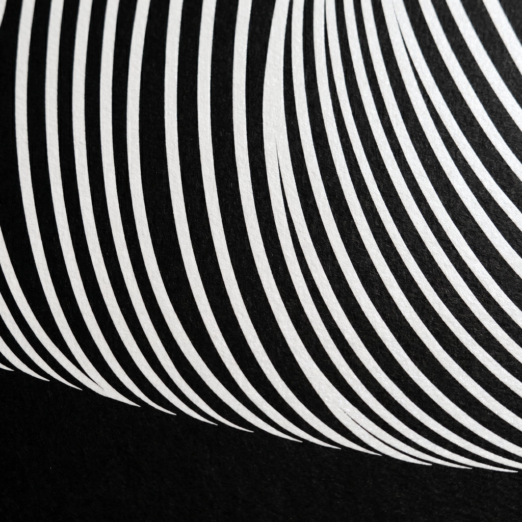 VENUS | Voluptuous Minimalist Female Body Op Art | Luxury Multi-Print Wall Art | 1-Of-1