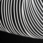 VENUS | Voluptuous Minimalist Female Body Op Art | Luxury Multi-Print Wall Art | 1-Of-1
