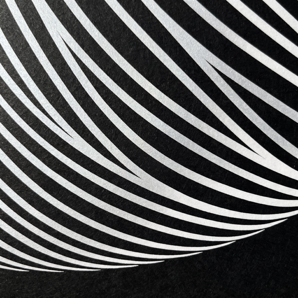 VENUS | Voluptuous Minimalist Female Body Op Art | Luxury Multi-Print Wall Art | 1-Of-1