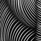 VERTIGO | Hypnotic Striped Minimalist Female Body Op Art | Luxury Multi-Print Wall Art
