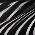 VERTIGO | Hypnotic Striped Minimalist Female Body Op Art | Luxury Multi-Print Wall Art
