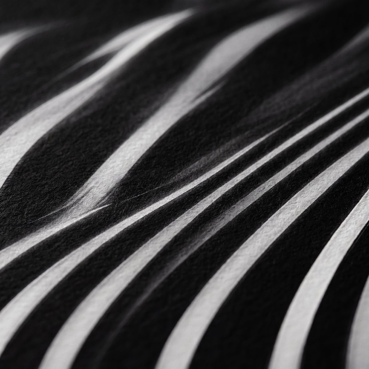 VERTIGO | Hypnotic Striped Minimalist Female Body Op Art | Luxury Multi-Print Wall Art