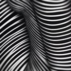 VERTIGO | Hypnotic Striped Minimalist Female Body Op Art | Luxury Multi-Print Wall Art