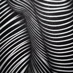 VERTIGO | Hypnotic Striped Minimalist Female Body Op Art | Luxury Multi-Print Wall Art