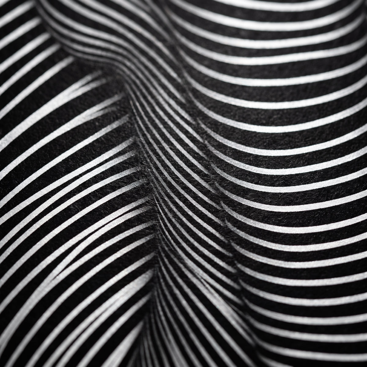 VERTIGO | Hypnotic Striped Minimalist Female Body Op Art | Luxury Multi-Print Wall Art
