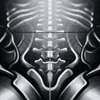 XENIA | Metallic Female Alien Cybernetic Body Op Art | Luxury Gothic Multi-Print Wall Art
