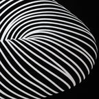 ZEPHYR | Elegant Abstract Female Figure Op Art | Luxury Multi-Print Wall Art | 1-Of-1