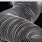 ZEPHYR | Elegant Abstract Female Figure Op Art | Luxury Multi-Print Wall Art | 1-Of-1