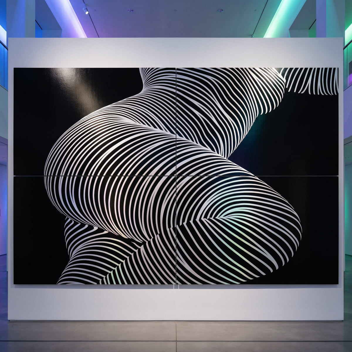 ZEPHYR | Elegant Abstract Female Figure Op Art | Luxury Multi-Print Wall Art | 1-Of-1