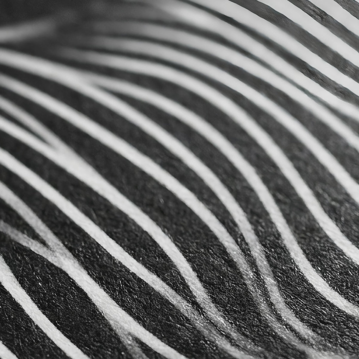 SINUOUS | Abstract Female Body 16-Print Mural | 1-Of-1 | 72K