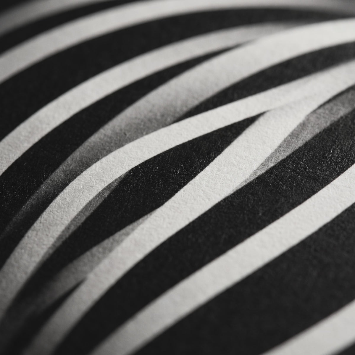 SUITE | Minimalist Seated Female Figure Op Art | Abstract Luxury Multi-Print Wall Art